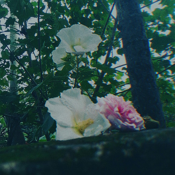 sometimes quiet