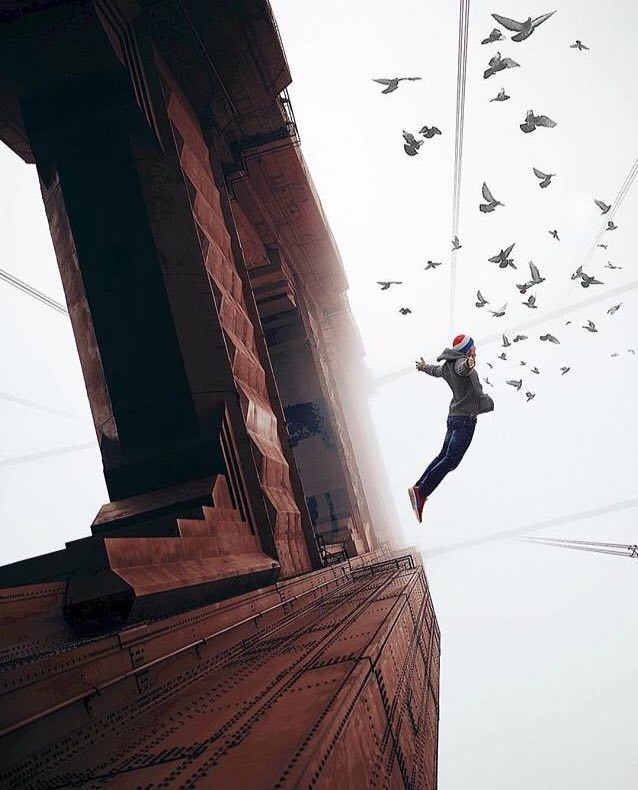Fly