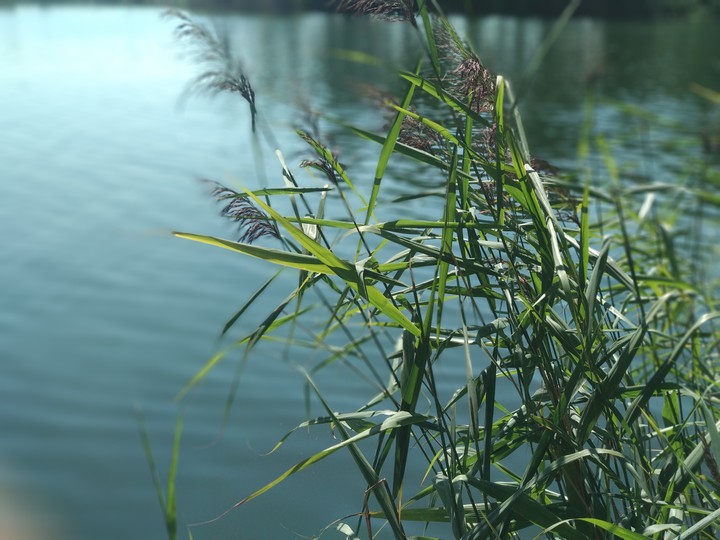 lake
