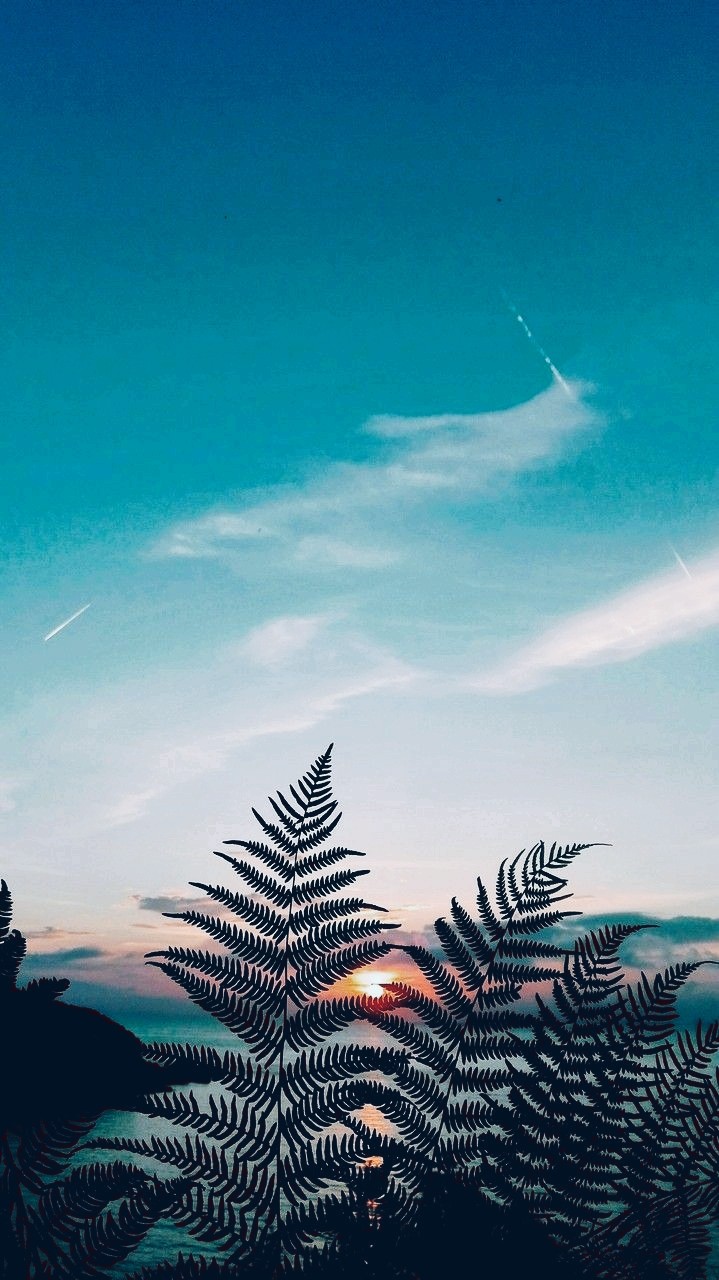pôr-do-sol