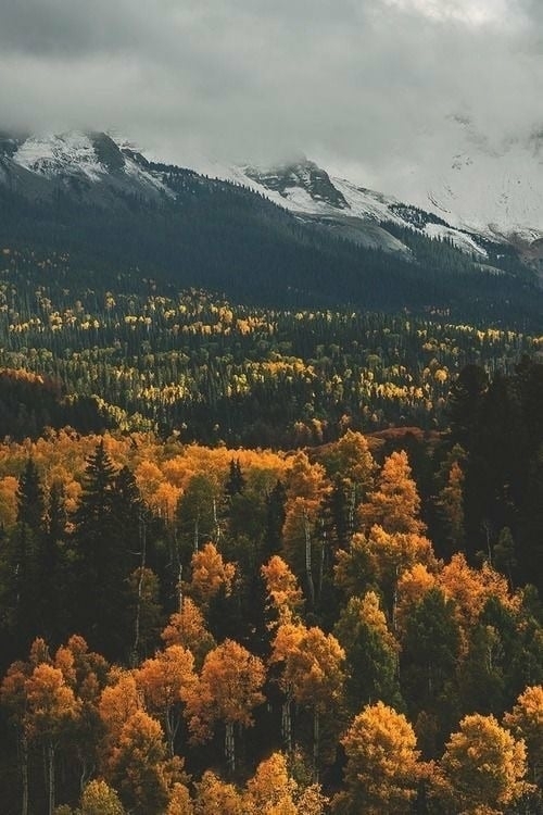 Amazing nature!!