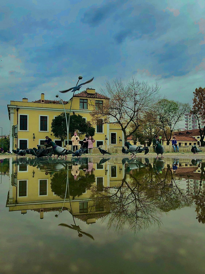 reflection