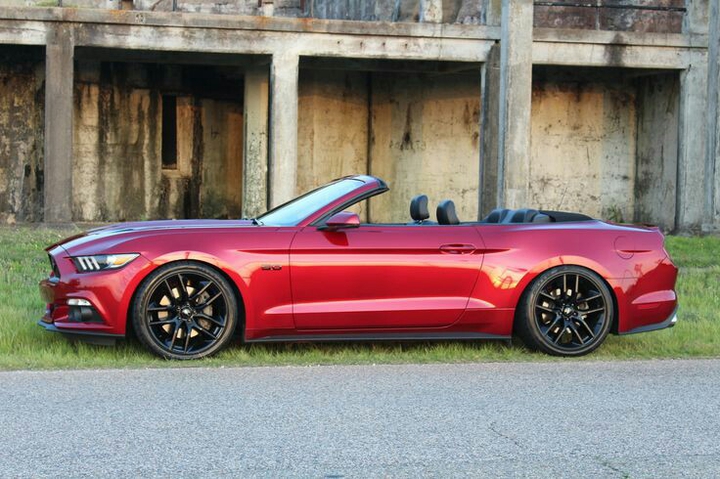 mustang