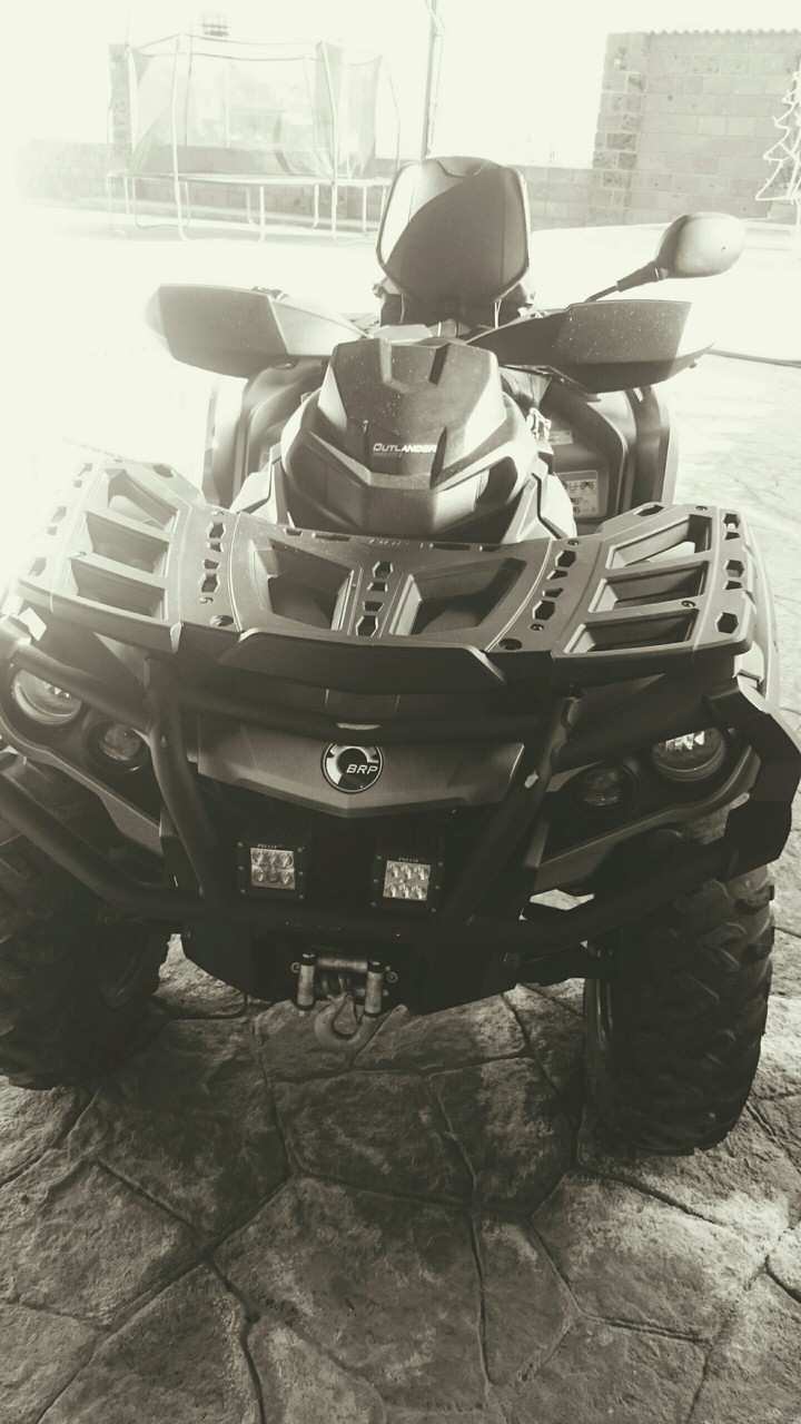 Race