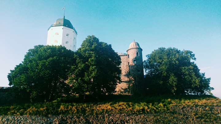 Viborg Castle