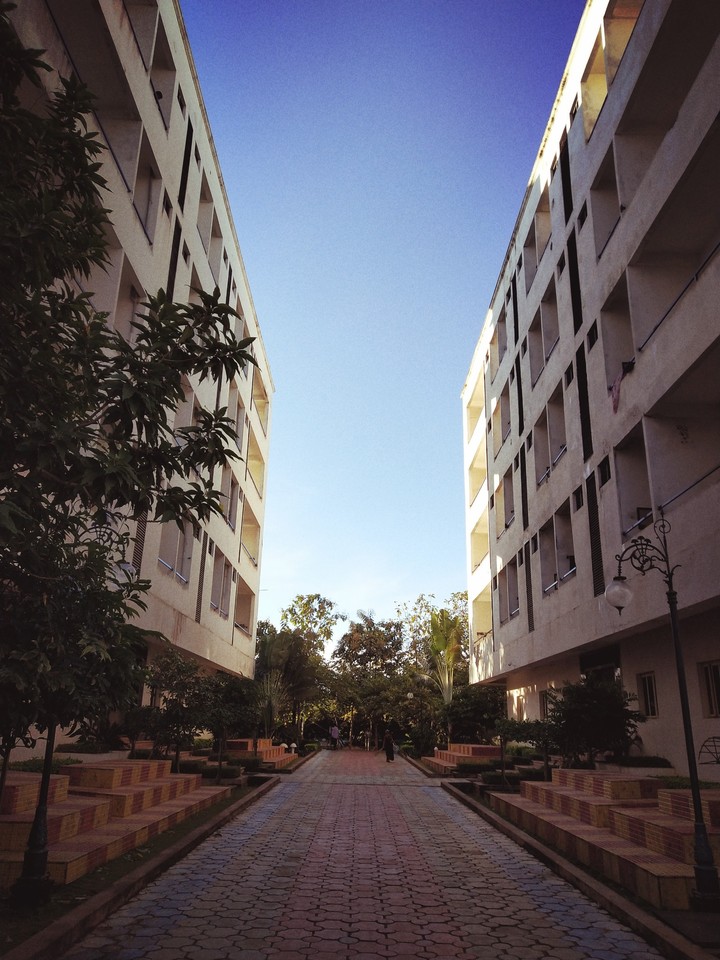 Houses