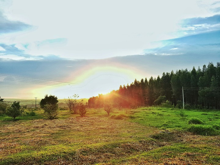 Natureza, sol , árvores
