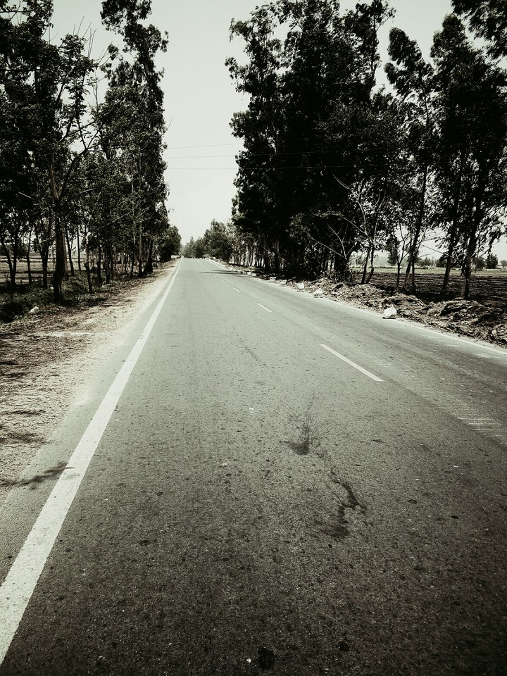 WALKING ASR ROAD