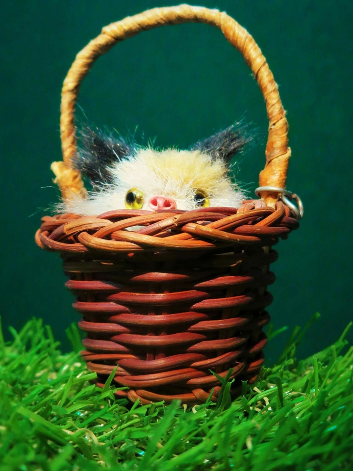 Kitty In The Basket
