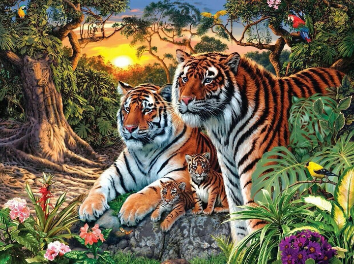 royal Bangal tiger