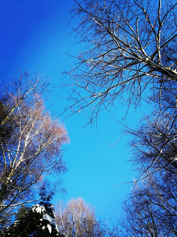winter sky