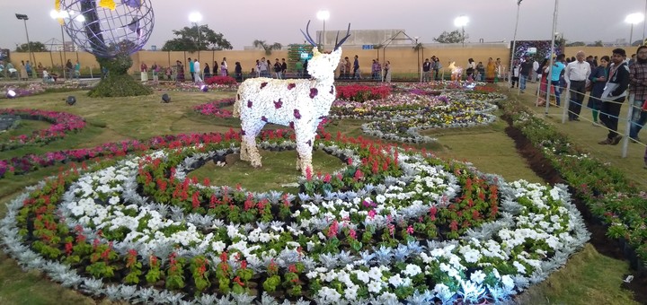 flower dear