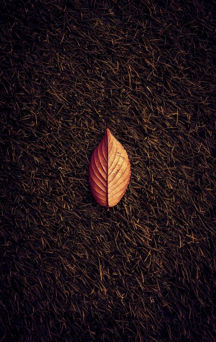 Autumn's
