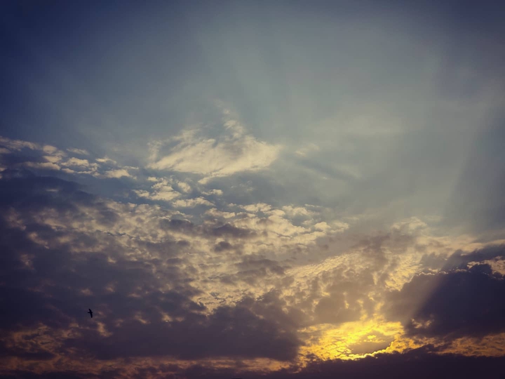 FireSky