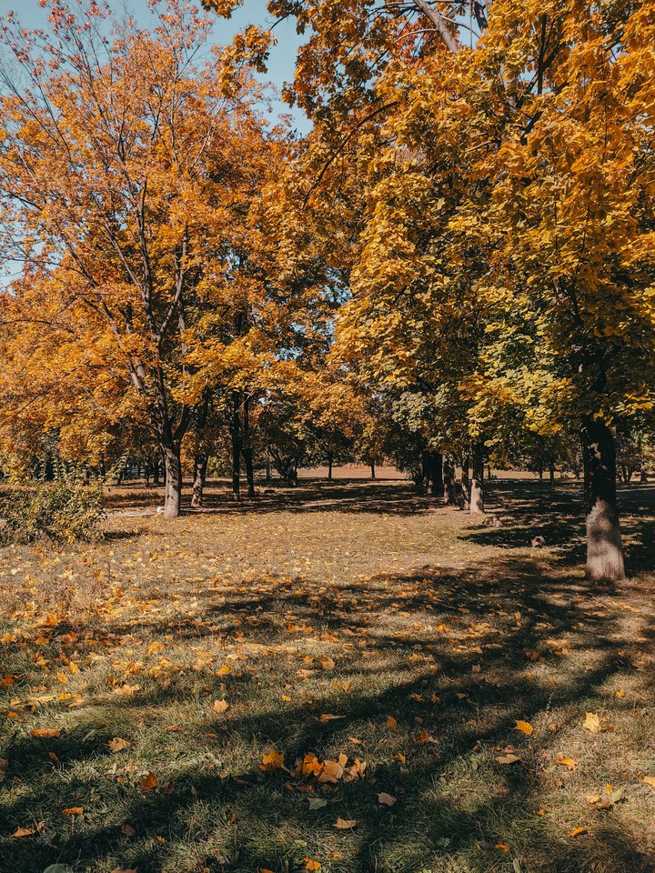 autumn