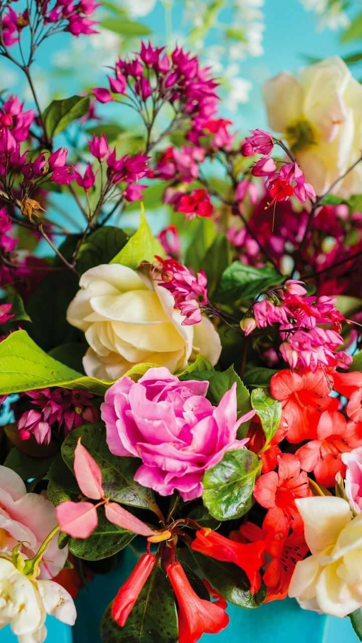 flowers