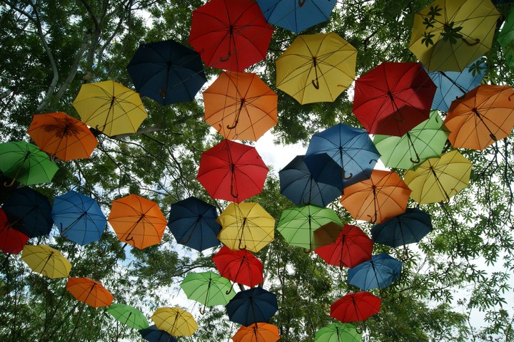 pluie de parapluies