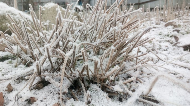 Snow