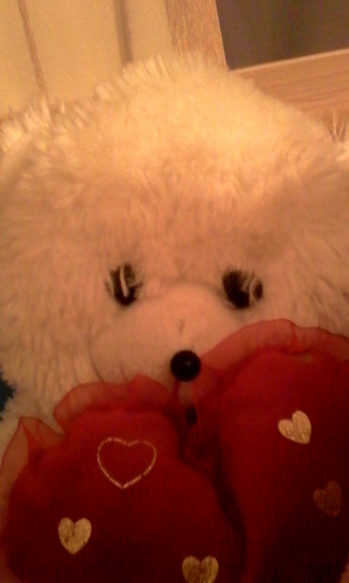 Bear2