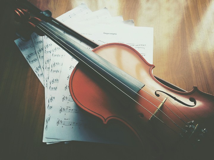 Violin