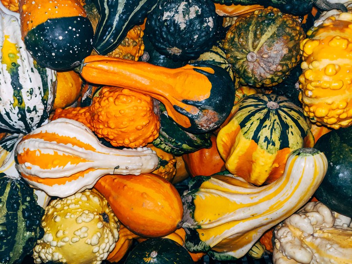 gourds