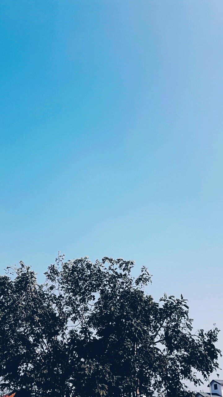 blue sky