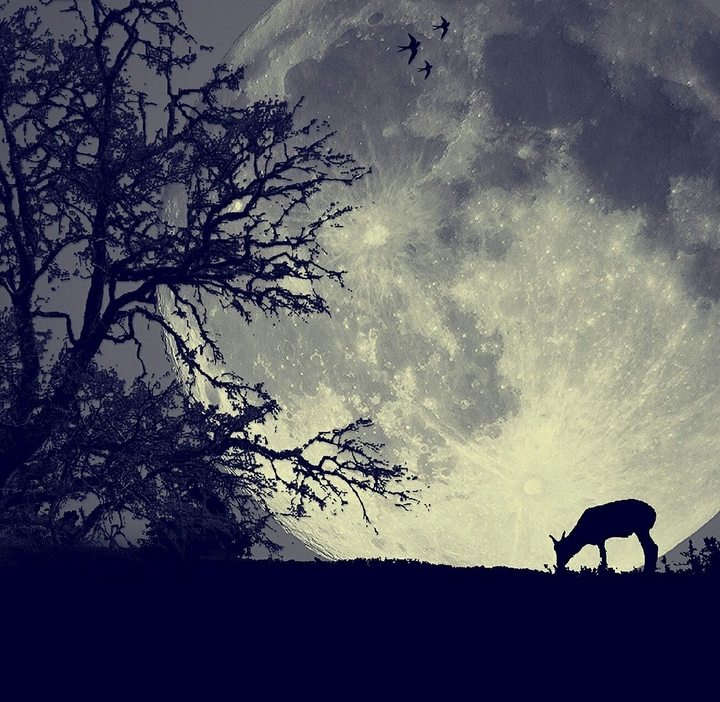 wow a full moon....