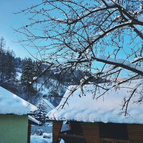 morning in Carpathians
