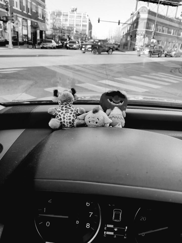 My riders