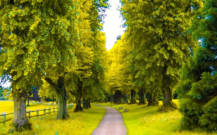 beautiful Nature