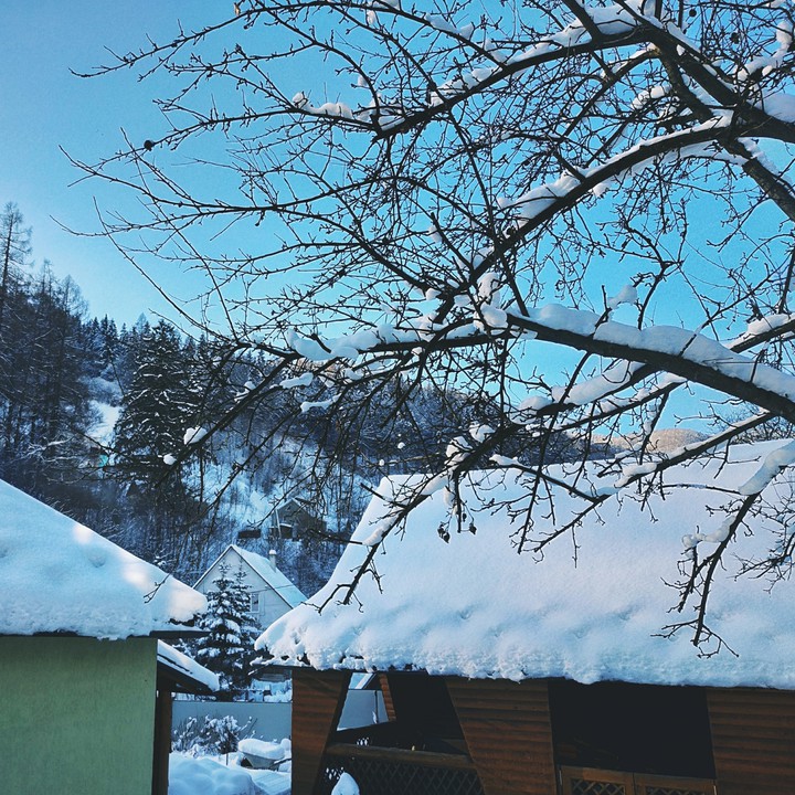 morning in Carpathians