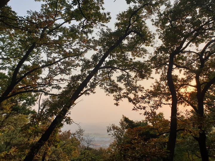산오르기