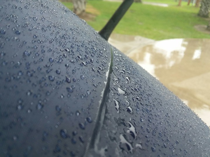 Rainy Park