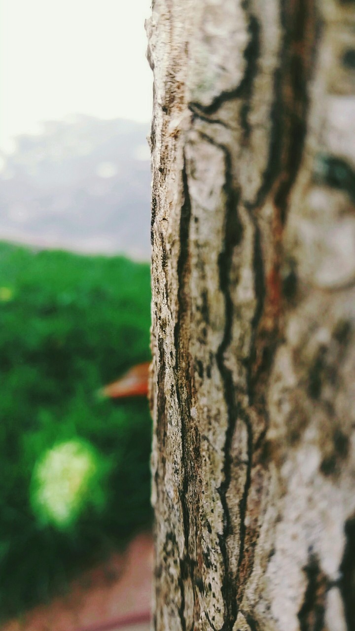 a closer look at the nature