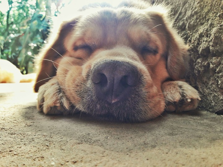 Max