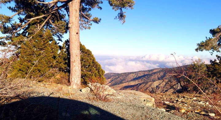troodos