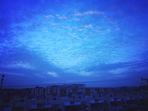 indigo
