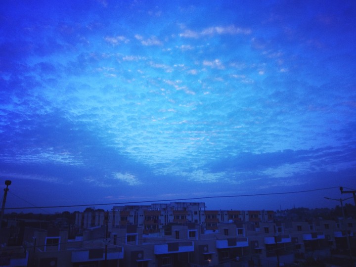 indigo