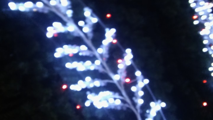 Tree?