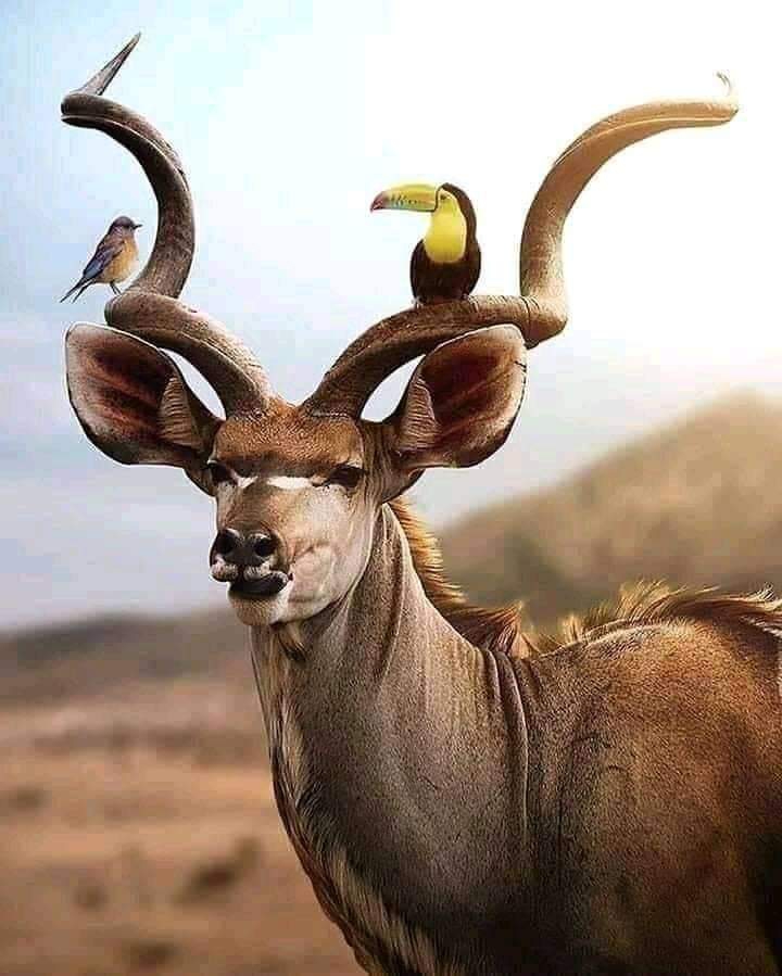 ❤❤❤❤❤