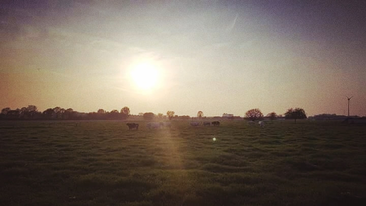 the netherlands by sunset