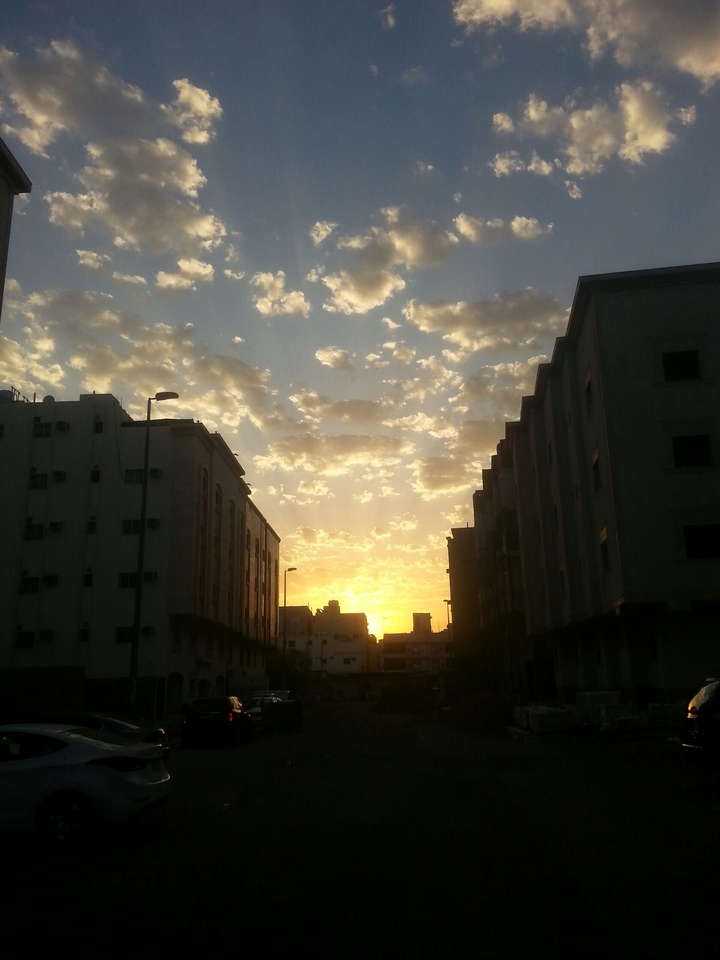 Morning