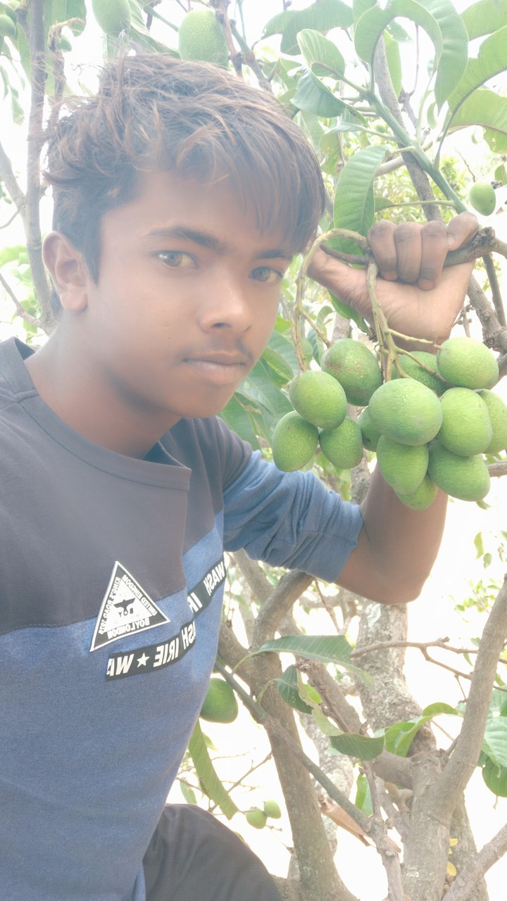 mohammad