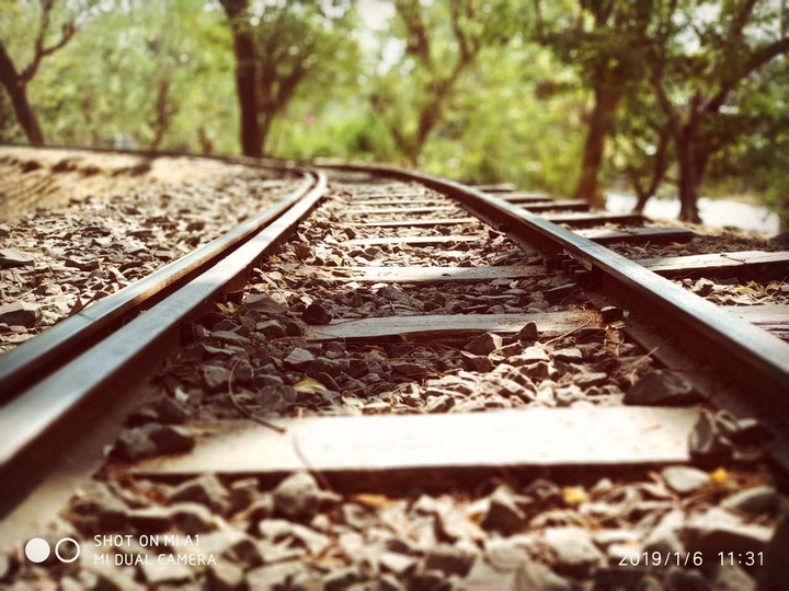 #narrow guage#railway track#nationalpark