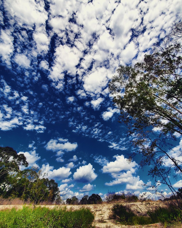 sky's the limit