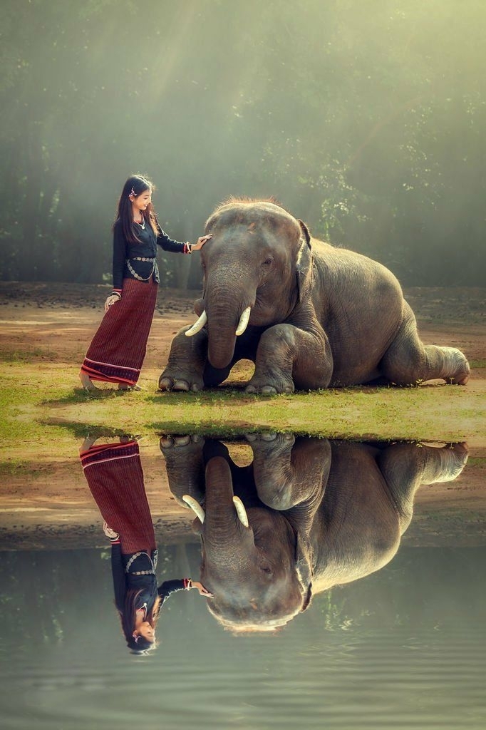 girl and elephant