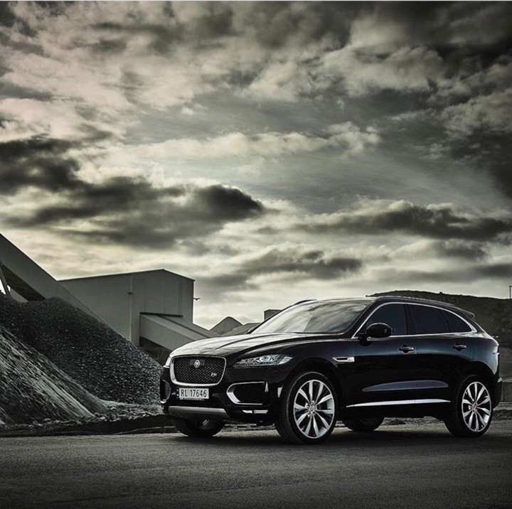 jaguar