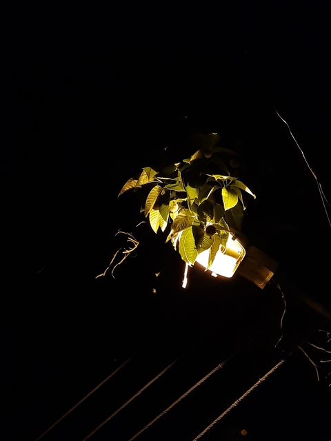 Light in the darkness