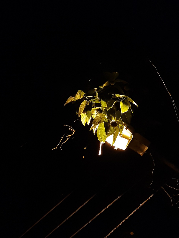 Light in the darkness