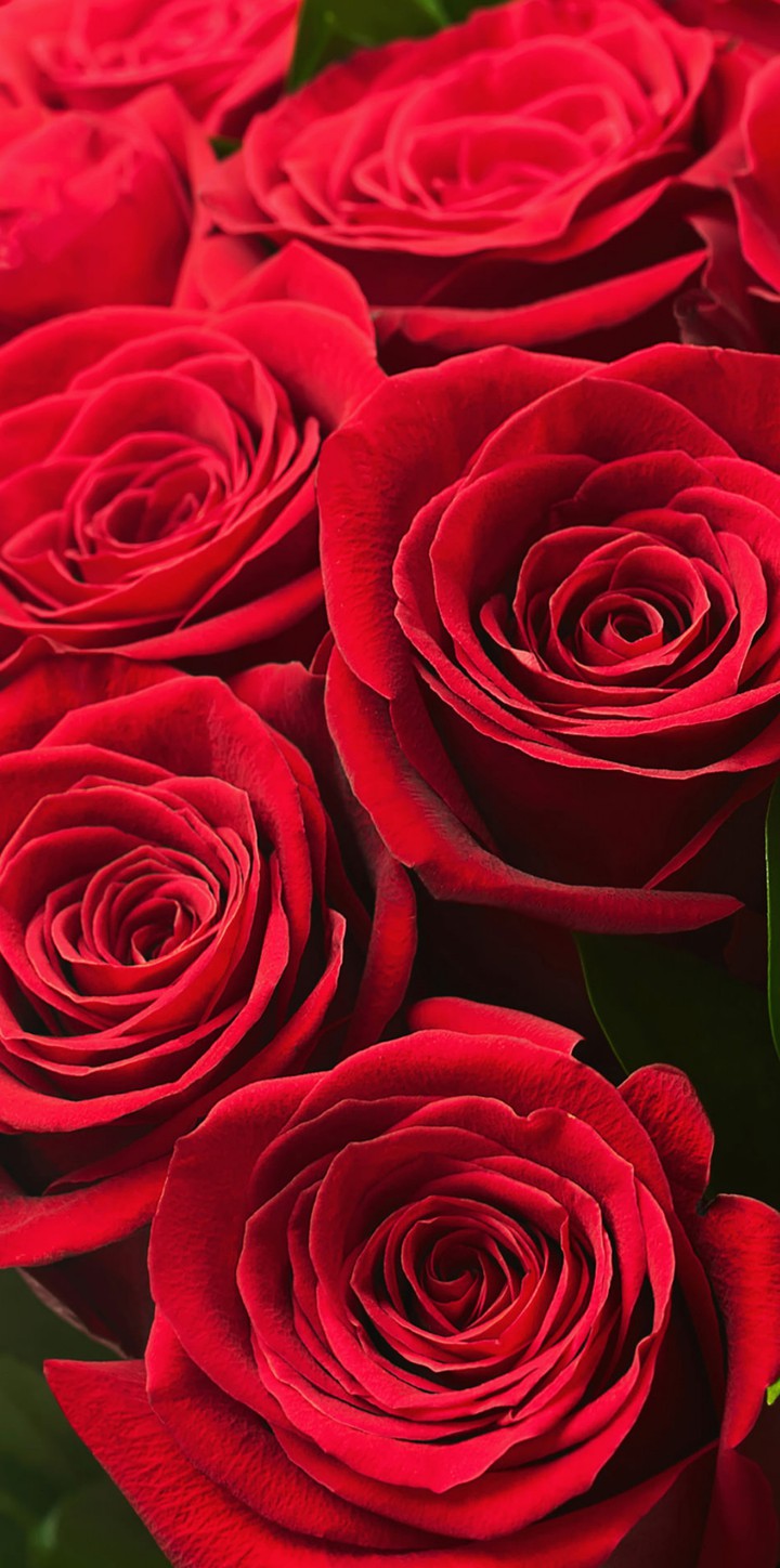 ♥
